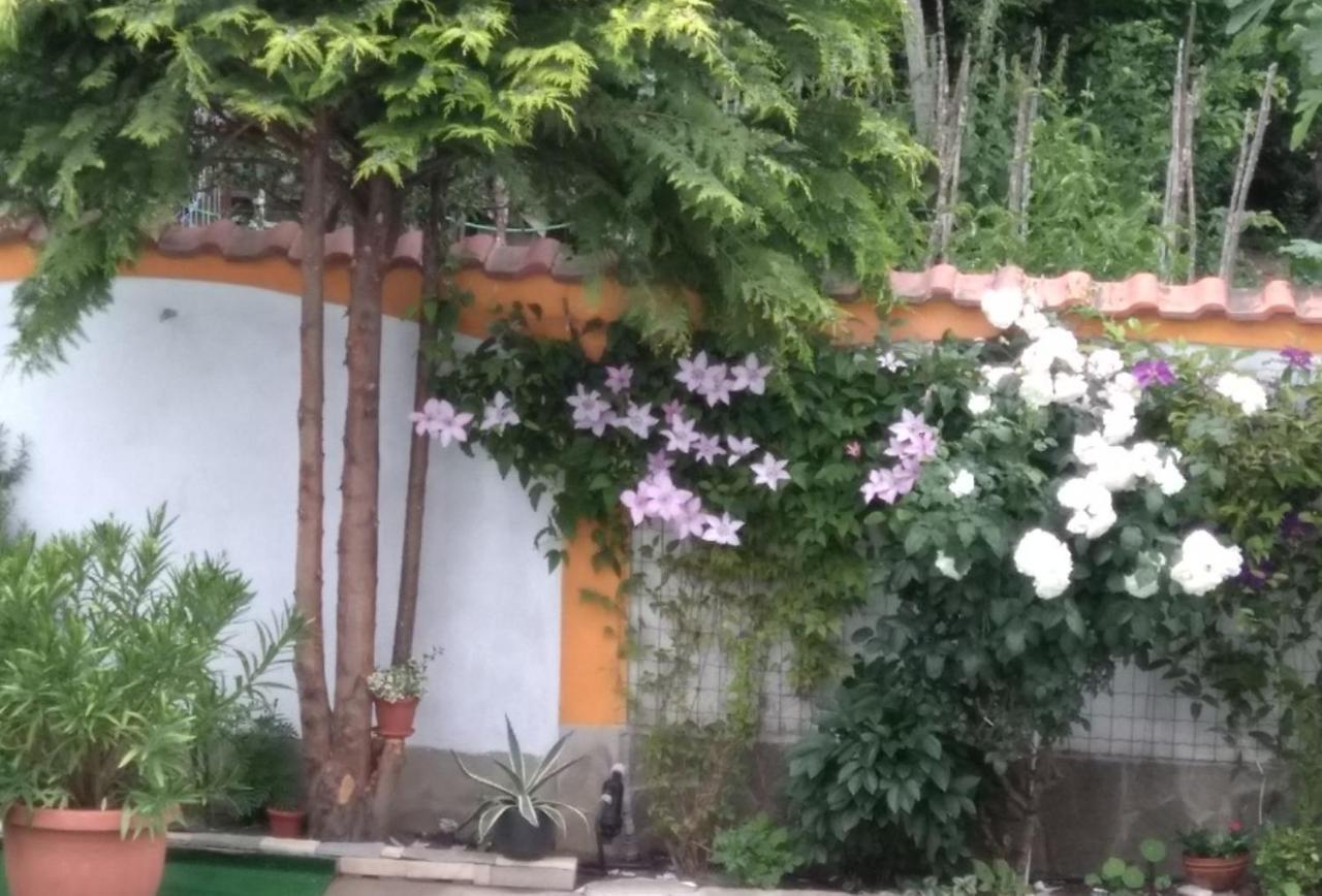 Vila Rosen 로제넷츠 외부 사진